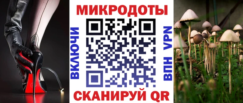 Псилоцибиновые грибы прущие грибы  сайты даркнета состав  Шилка 